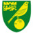 Norwich City Icon